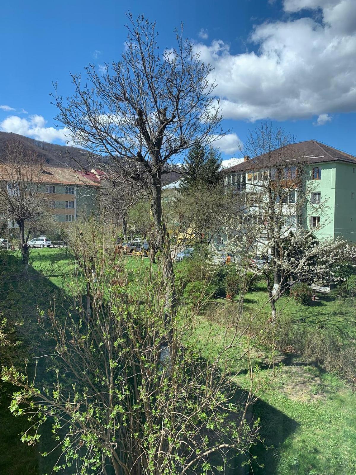 Rose Apartment Piatra Neamţ Eksteriør billede